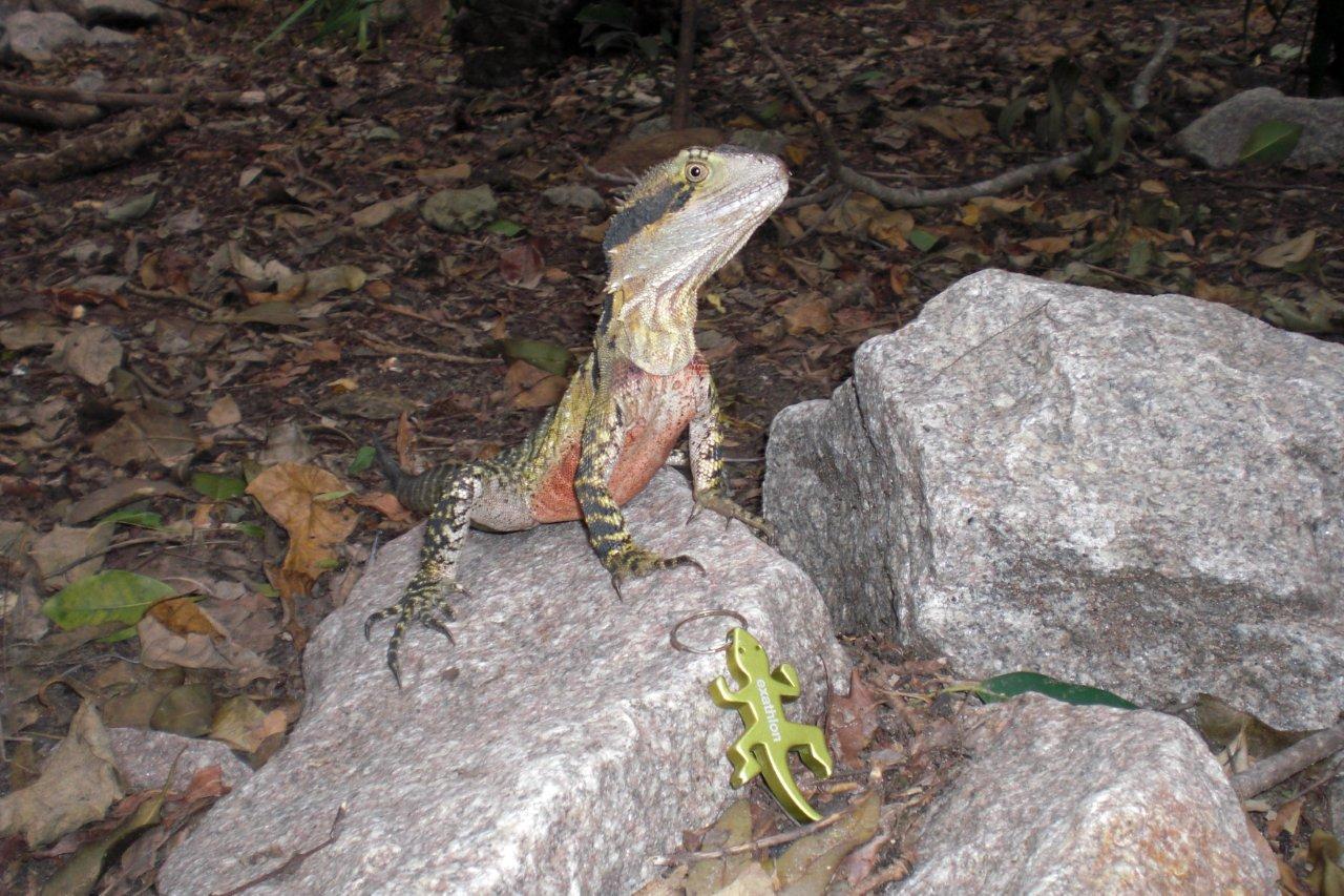Eilmeldung: Exatier beinahe ausgebüchst